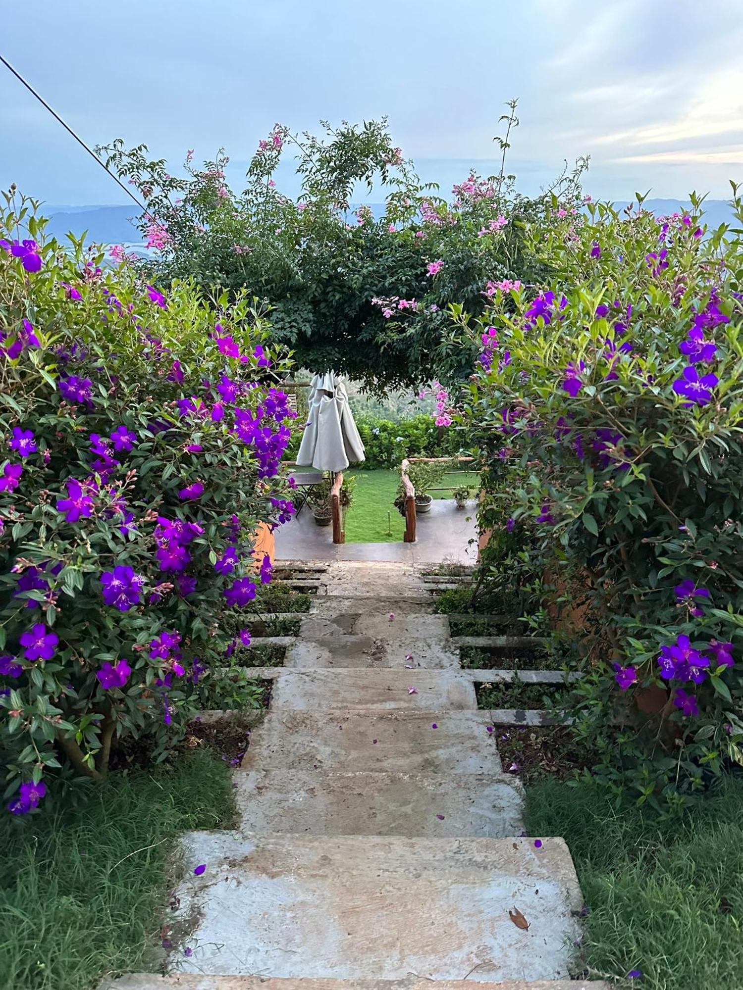 Ta Dung May Farm Bidong Dış mekan fotoğraf